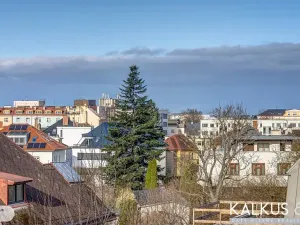 Pronájem bytu 2+kk, Hradec Králové, Střelecká, 58 m2