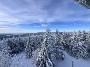 Prodej pozemku pro bydlení, Říčky v Orlických horách, 5940 m2