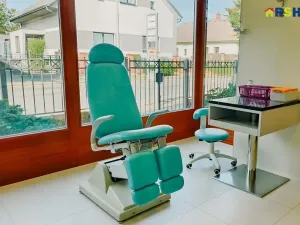 Prodej rodinného domu, Hradec Králové, Petra Jilemnického, 950 m2