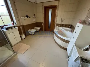 Pronájem rodinného domu, Litvínovice, Mokré - Jih, 174 m2