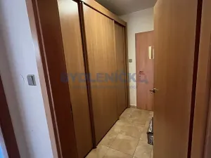 Pronájem rodinného domu, Litvínovice, Mokré - Jih, 174 m2