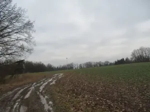 Dražba louky, Račice nad Trotinou, 18528 m2