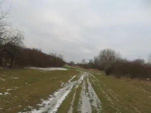 Dražba louky, Račice nad Trotinou, 18528 m2