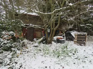 Dražba chaty, Zlatá Koruna, 10 m2