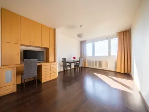 Prodej bytu 3+1, Brno, Haškova, 67 m2