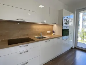 Pronájem bytu 2+kk, Brno - Královo Pole, Kollárova, 85 m2