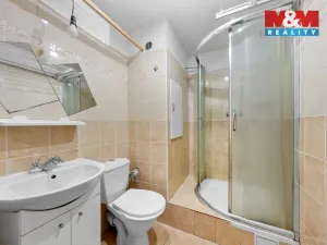 Prodej bytu 1+kk, Ústí nad Labem - Severní Terasa, Pod Parkem, 19 m2