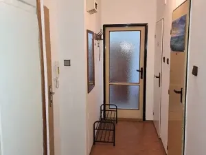 Pronájem bytu 2+1, Jihlava, Evžena Rošického, 57 m2