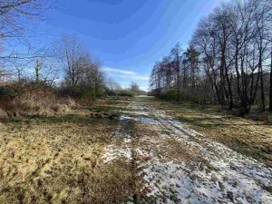 Prodej pole, Kváskovice, 10470 m2