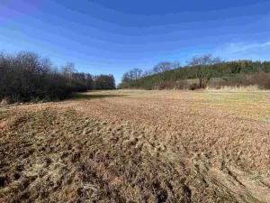 Prodej pole, Kváskovice, 10470 m2