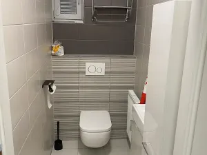 Pronájem bytu 2+1, Olomouc, Helceletova, 128 m2