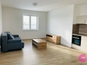 Pronájem bytu 1+kk, Olomouc, 30 m2