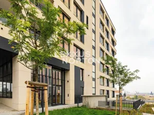 Pronájem bytu 3+kk, Praha - Vinohrady, Dudova, 98 m2