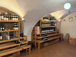 Pronájem obchodního prostoru, Kutná Hora, Václavské náměstí, 270 m2