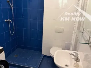 Pronájem bytu 1+kk, Kroměříž, 43 m2
