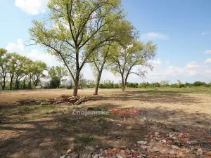 Pronájem komerčního pozemku, Hevlín, 16559 m2