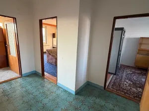 Prodej rodinného domu, Hrušovany nad Jevišovkou, 300 m2