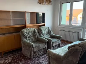 Prodej rodinného domu, Hrušovany nad Jevišovkou, 300 m2