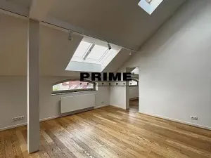 Pronájem bytu 3+1, Praha - Bubeneč, U akademie, 130 m2