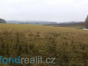 Prodej pole, Malovice, 5875 m2