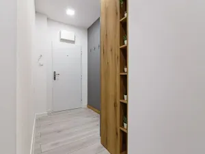 Pronájem bytu 2+1, Ostrava, Karola Šmidkeho, 53 m2