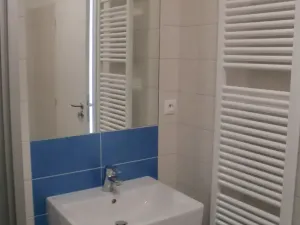 Pronájem bytu 1+kk, Brno, Francouzská, 41 m2