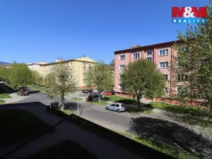 Pronájem bytu 2+1, Ostrov, S. K. Neumanna, 66 m2