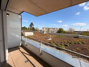 Pronájem bytu 1+kk, Brno - Sadová, Kumpoštova, 30 m2