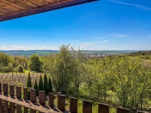 Prodej chaty, Slavkov u Brna, Palackého náměstí, 16 m2