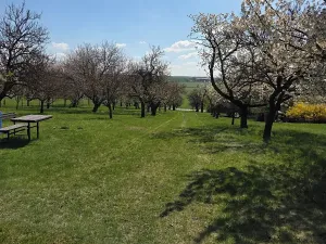 Prodej zahrady, Křenovice, 4967 m2