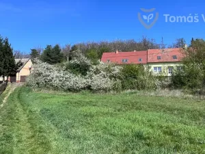 Prodej pole, Ořechov, 4380 m2