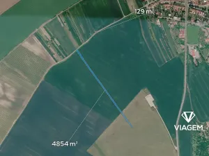 Prodej pole, Násedlovice, 4874 m2