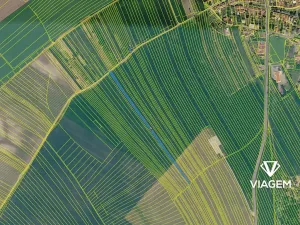 Prodej pole, Násedlovice, 4874 m2