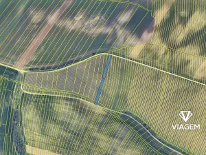 Prodej podílu pole, Šitbořice, 368 m2