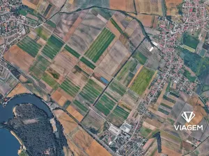 Prodej pole, Dřísy, 3858 m2