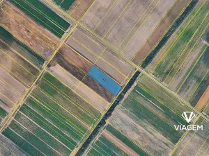 Prodej pole, Dřísy, 3858 m2
