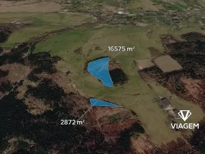 Prodej podílu lesa, Horní Podluží, 3241 m2