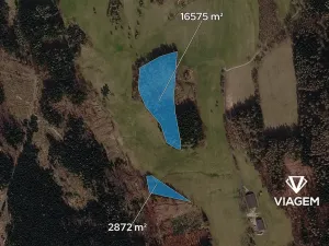 Prodej podílu lesa, Horní Podluží, 3241 m2