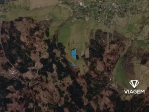 Prodej podílu lesa, Horní Podluží, 3241 m2