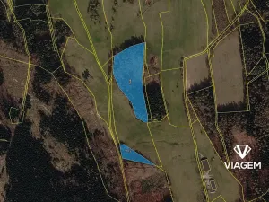 Prodej podílu lesa, Horní Podluží, 3241 m2