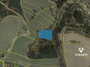 Prodej lesa, Řendějov, 6061 m2