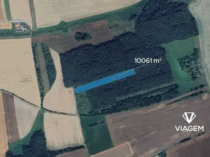 Prodej podílu lesa, Nové Strašecí, 7545 m2