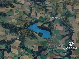 Prodej podílu lesa, Trhový Štěpánov, 1428 m2