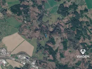 Prodej podílu lesa, Chotěboř, 834 m2
