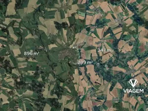 Prodej lesa, Přibyslav, 1542 m2