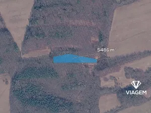 Prodej podílu lesa, Březůvky, 1828 m2