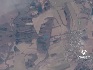 Prodej podílu lesa, Březůvky, 1828 m2