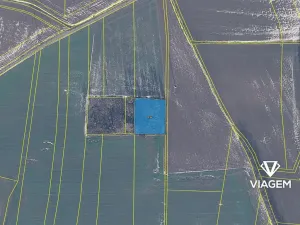 Prodej podílu lesa, Vendolí, 2583 m2