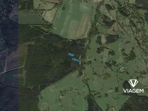 Prodej podílu lesa, Suchdol nad Lužnicí, 13912 m2