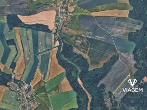 Prodej lesa, Jindřichov, 1945 m2